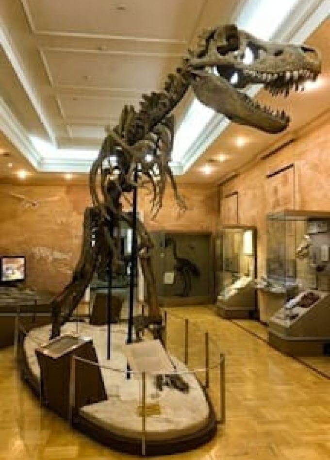 Музей естественной истории Татарстана