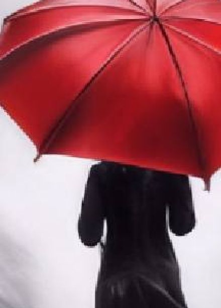 Развод по-французски