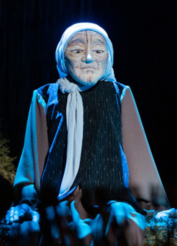 Материнское поле