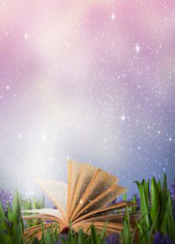 Миссия выполнима. Литературная зарница