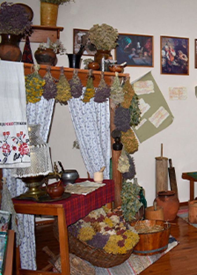 В гостях у бабушки Знахарки. Программа